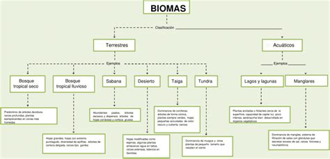 Mapas Conceptuales De Los Biomas Descargar 59976 The Best Porn Website