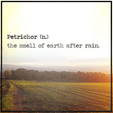 Petrichorn The E Smell Of Earth After Rain Out Of Your Mind