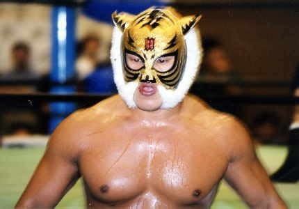 Tiger Mask Wrestler Mask