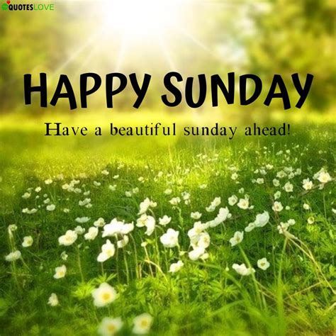 Happy Sunday Wallpapers Top Free Happy Sunday Backgrounds