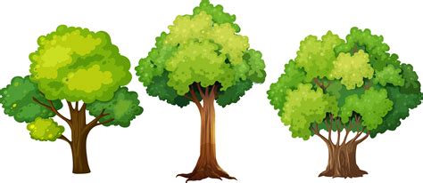 #Tree #NatureTree #EvergreenTree #SetofTrees | Tree designs, Tree graphic, Tree