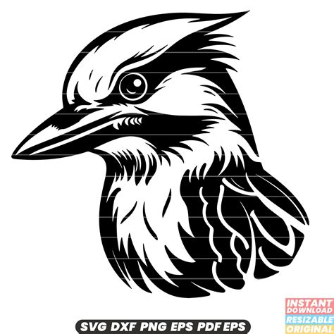 Kookaburra Svg Kookaburra Dxf Kookaburra Png Digital Designs Instant