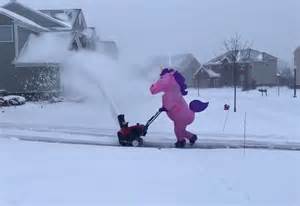 Pink Unicorn Caught On Video Snow Blowing South Lyon Driveway