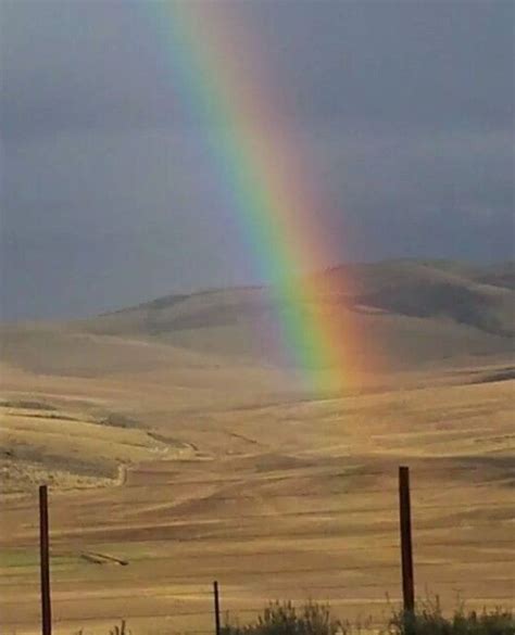 Pin by Bruce on God's Rainbow | Rainbow photo, Beautiful rainbow, Over the rainbow