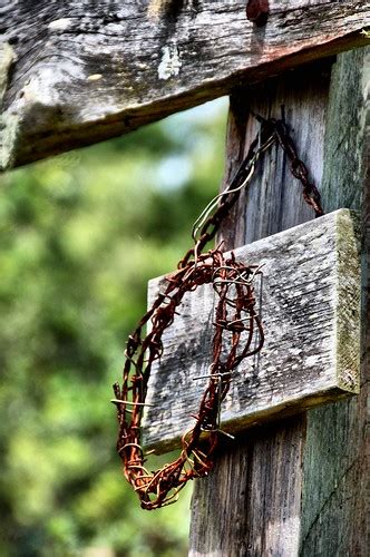 Crown Of Thorns At Montville Uniting Church A Crown Of Tho Flickr