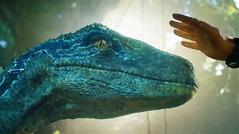 Capturing Blue Scene Jurassic World Fallen Kingdom 2018 Movie Clip Hd Youtube
