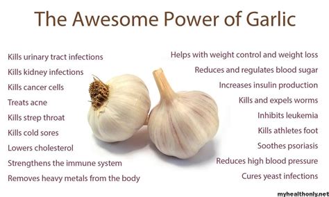 Know About 5 Impressive Benefits Of Garlic My Health Only