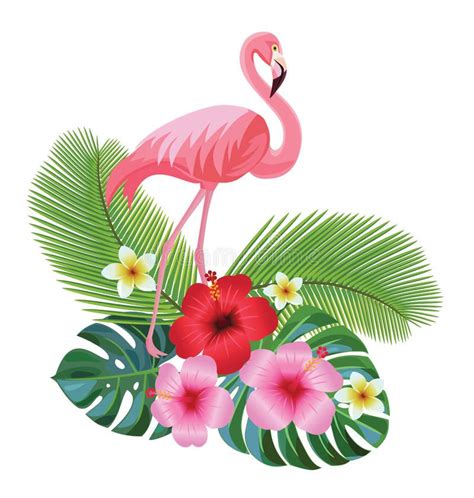 Tropical Composition And Flamingo Vector Illustration Tropical
