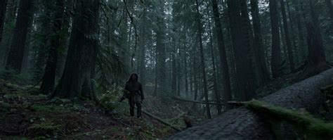 Click To Close Cinematic Photography Night Forest The Revenant