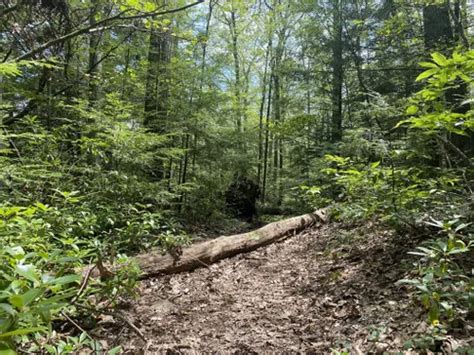 Best Hikes And Trails In Monument Mountain Reservation Alltrails