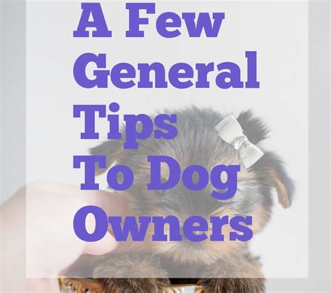 Basic Dog Care Advice For The Newcomer Dog Care Dog Care Tips Pet
