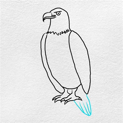 How To Draw An Eagle Easy Helloartsy