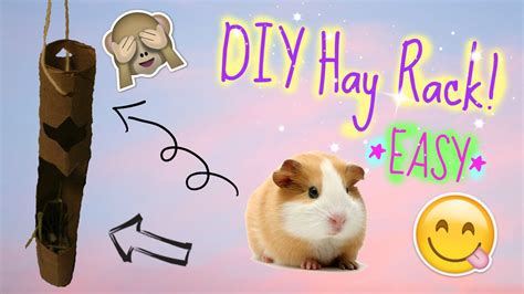 Make a vertical hay rack for your guinea pigs! DIY Guinea Pig Hay Rack Tutorial *EASY* | PiggyPalace - YouTube