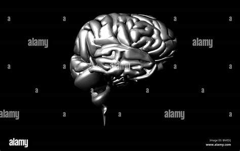 Highly Detailed Animation Of A Human Brain Stock Photo Alamy