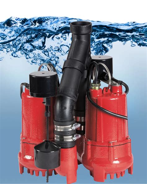 Red Lion Rl Sc Dup Rl Sc Dup Hp Dual Automatic Cast Iron Sump Pump System With Foot