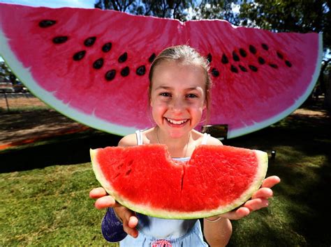Qld Giant Watermelon Inside Queenslands Next Big Thing The Courier Mail