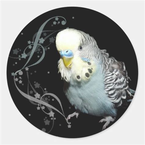 Blue Budgie Sticker Uk