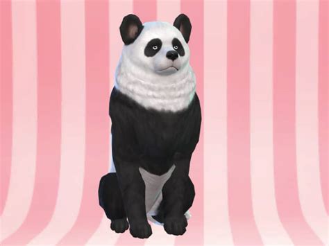The 25 Best Sims 4 Pet Mods 2023 Gaming Gorilla