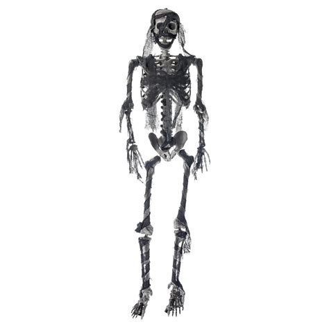 Buy Vehpro 5 4ft Full Body Halloween Skeleton Halloween Life Size Posable Skeleton Decorations