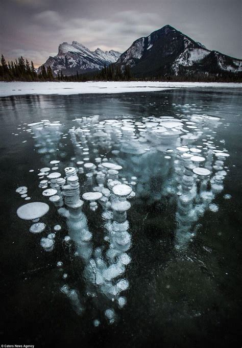 Ice Bubble In Canada Landscape Photography Nature Photography