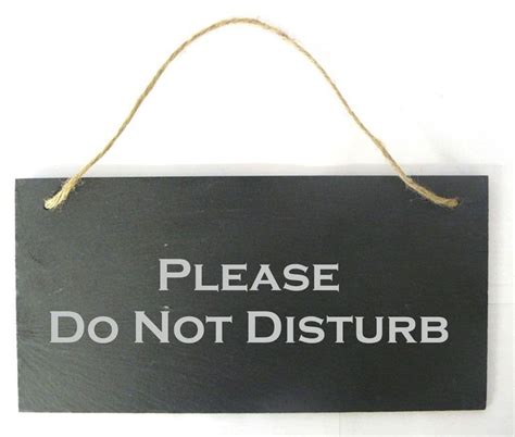Please Do Not Disturb Hanging Slate Sign