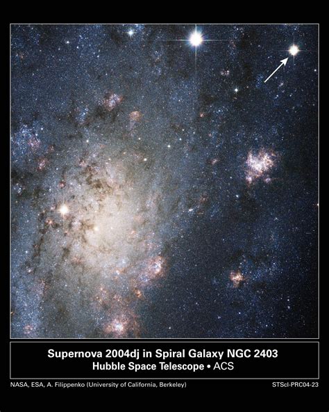 Apod 2004 September 7 A Supernova In Nearby Galaxy Ngc 2403