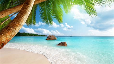 Cool Beach Backgrounds 61 Pictures