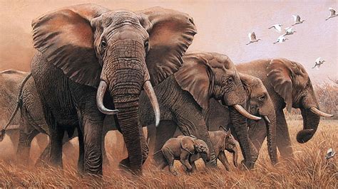 79 Cute Elephant Wallpaper Hd Images And Pictures Myweb