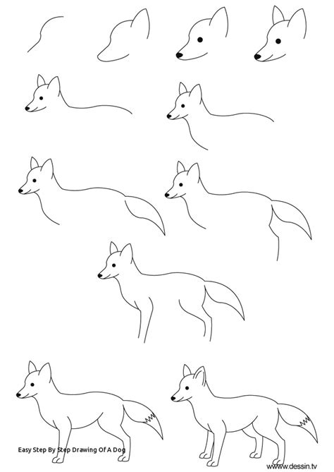 Cute Dog Drawing Step By Step At Explore