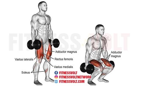 The 7 Best Dumbbell Squat Variations For Stronger More Muscular Legs Fitness Volt