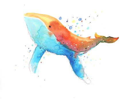 Watercolour Whale By Wonsun On Deviantart