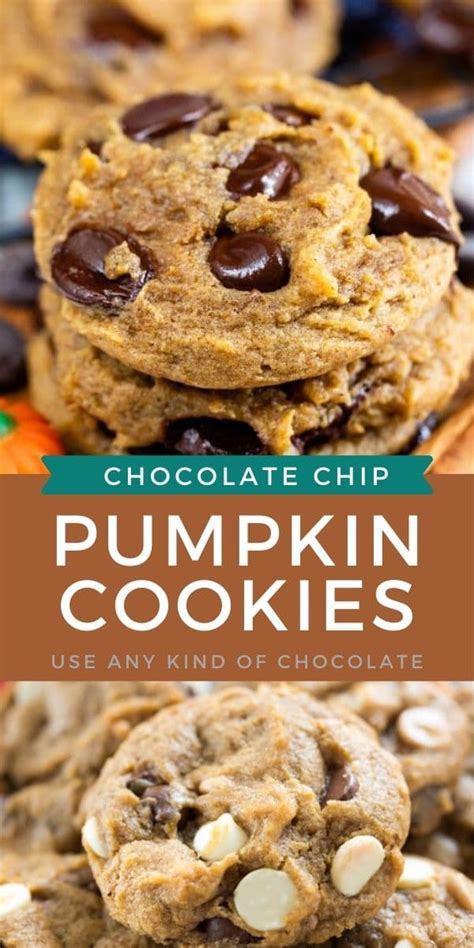 Pumpkin Chocolate Chip Cookies Crazy For Crust