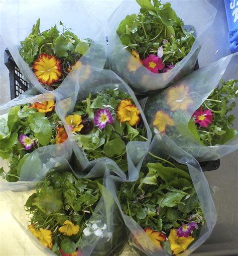 Check spelling or type a new query. Bags of organic floral spring salad from Maddocks Farm ...