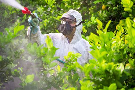 Pesticide Exposure Workers Comp Claim Pesticide Work Injury