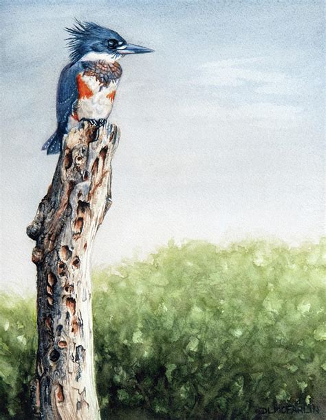Belted Kingfisher Painting By Deborah L Mcfarlin