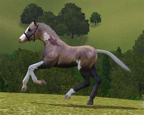 Forums Community The Sims 3 Sims Sims 3 Horses