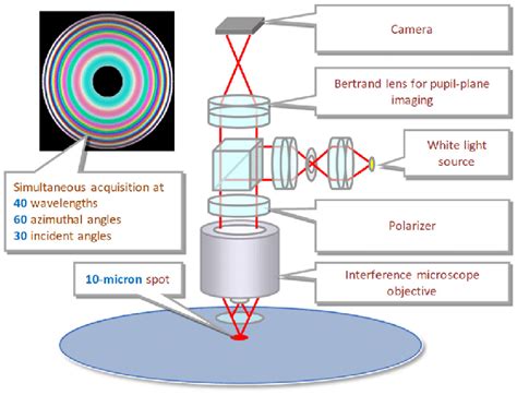 Csi Microscope Geometry With Pupil Plane Imaging For Interferometric
