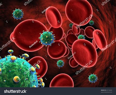 Hiv Cells In Blood Stream Aids Stock Photo 62116432 Shutterstock