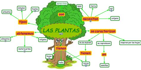 Blog De Luis Para 5º Y 6º Las Plantas