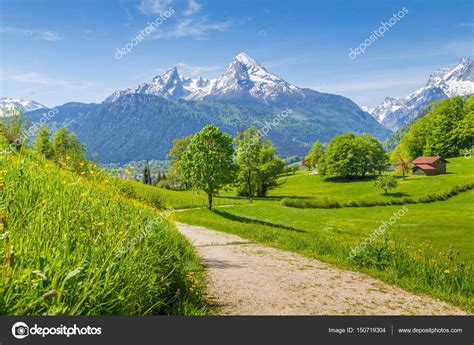 Idyllic Scenery In The Alps With Hiking Trail And Green Meadows — Stock