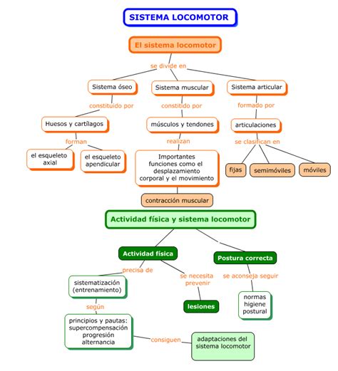 Mapa Conceptual Sobre El Sistema Locomotor Activo Ppt El Aparato Images And Photos Finder