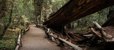 Maybe you would like to learn more about one of these? 26 Gorgeous NorCal Camping Spots Within 100 Miles of SF ...