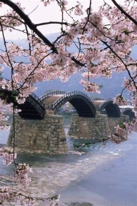 Ponte Kintai Iwakuni Japão Wonders Of The World Beautiful Places