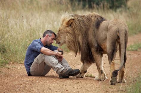 Woman Mauled To Death At Lion Whisperer Sanctuary In South Africa
