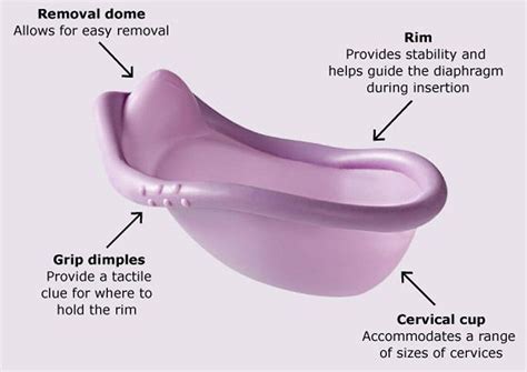 Diaphragm Birth Control How Does A Diaphragm Work And Effectiveness