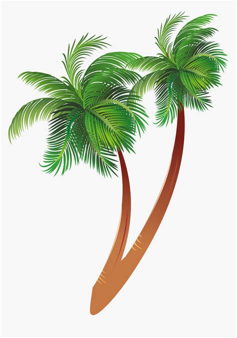 Free Download Cartoon Palm Tree Clipart Coconut Palm Transparent