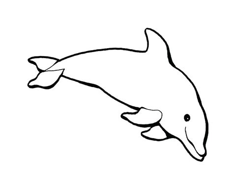 Cute Baby Dolphin Coloring Pages At Free Printable