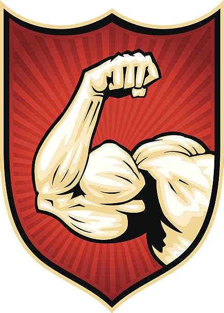 Human Muscle Clip Art Vector Images And Illustrations Istock