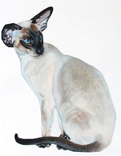 Siamese Cat Painting Cats Illustration Siamese Cats Cat Painting
