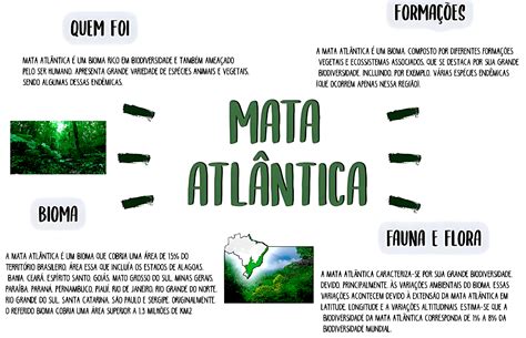 Mapa Mental Da Mata Atlantica